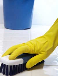 Cleaning Cleaning Services Business